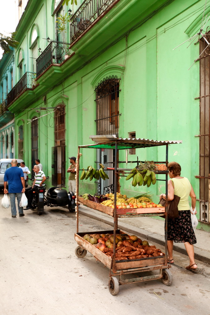 The Cherry Blossom Girl - Cuba 02