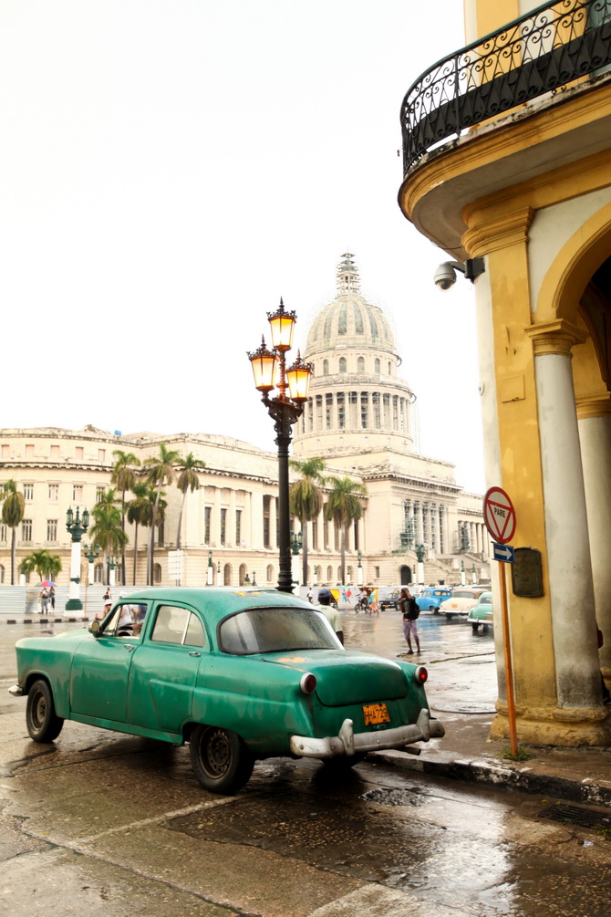 The Cherry Blossom Girl - Cuba 10