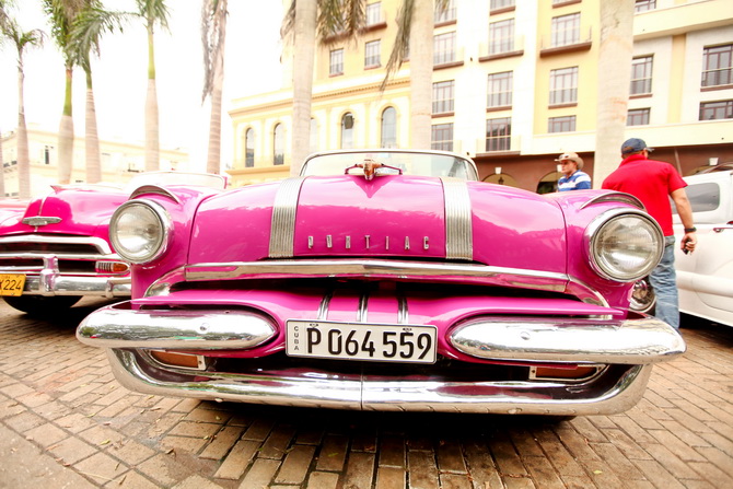 The Cherry Blossom Girl - Cuba Rosa 09