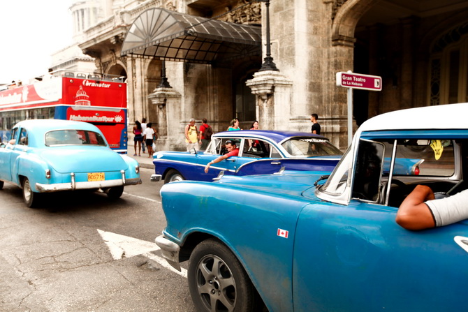 The Cherry Blossom Girl - La Havana Azul 09