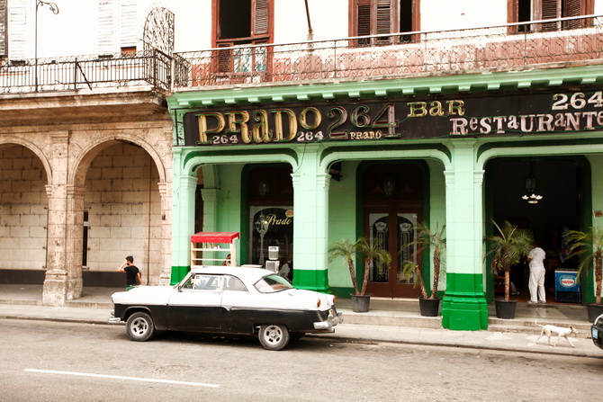 The Cherry Blossom Girl - Saludos desde La Habana 03