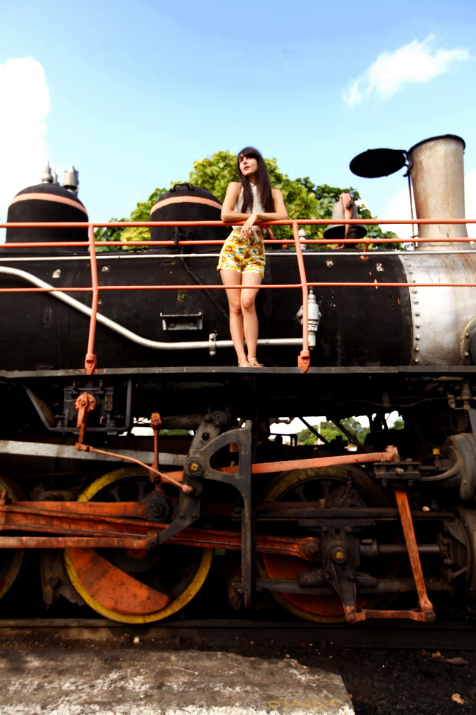 The Cherry Blossom Girl - Valle de los Ingenios 14