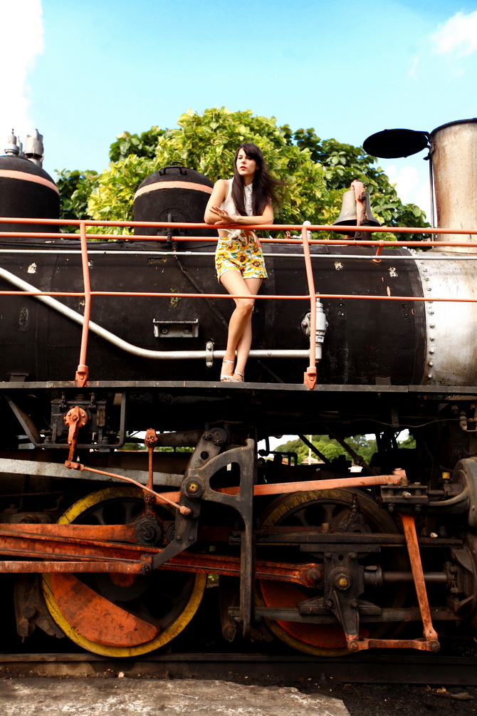 The Cherry Blossom Girl - Valle de los Ingenios 15