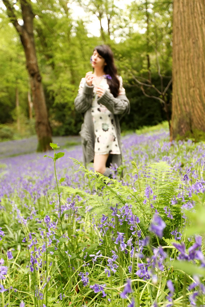 The Cherry Blossom Girl - Bluebells 05