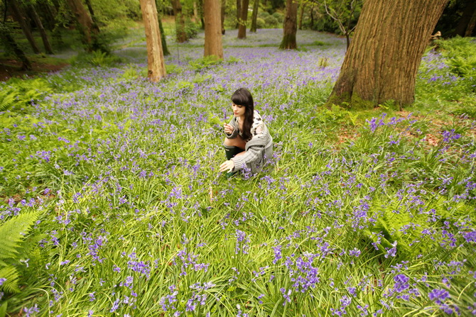 The Cherry Blossom Girl - Bluebells 07