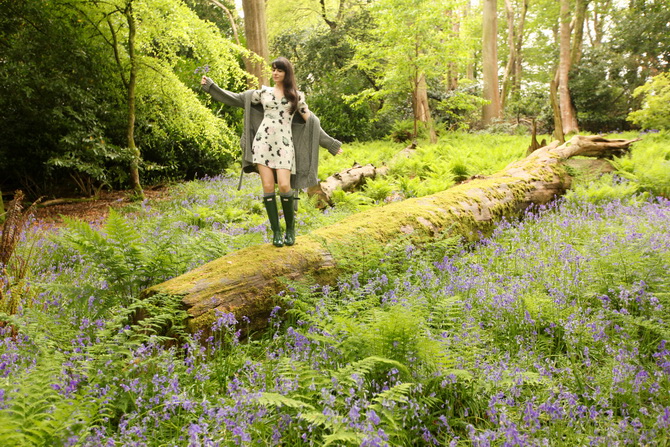 The Cherry Blossom Girl - Bluebells 10