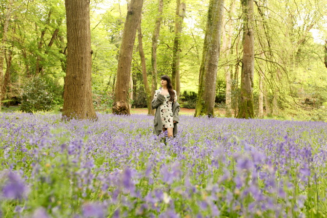 The Cherry Blossom Girl - Bluebells 11