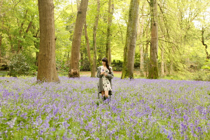 The Cherry Blossom Girl - Bluebells 12