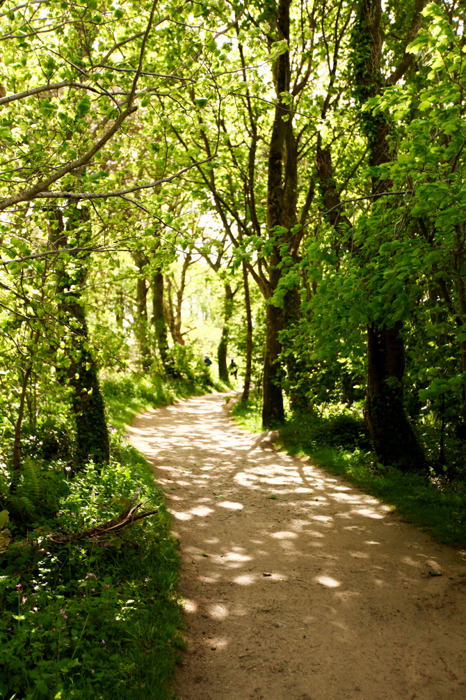 The Cherry Blossom Girl - The Lost Gardens of Heligan 07