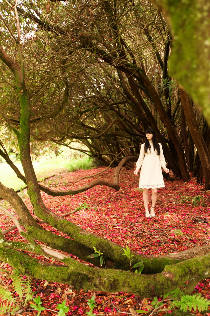 The Cherry Blossom Girl - The Lost Gardens of Heligan 12