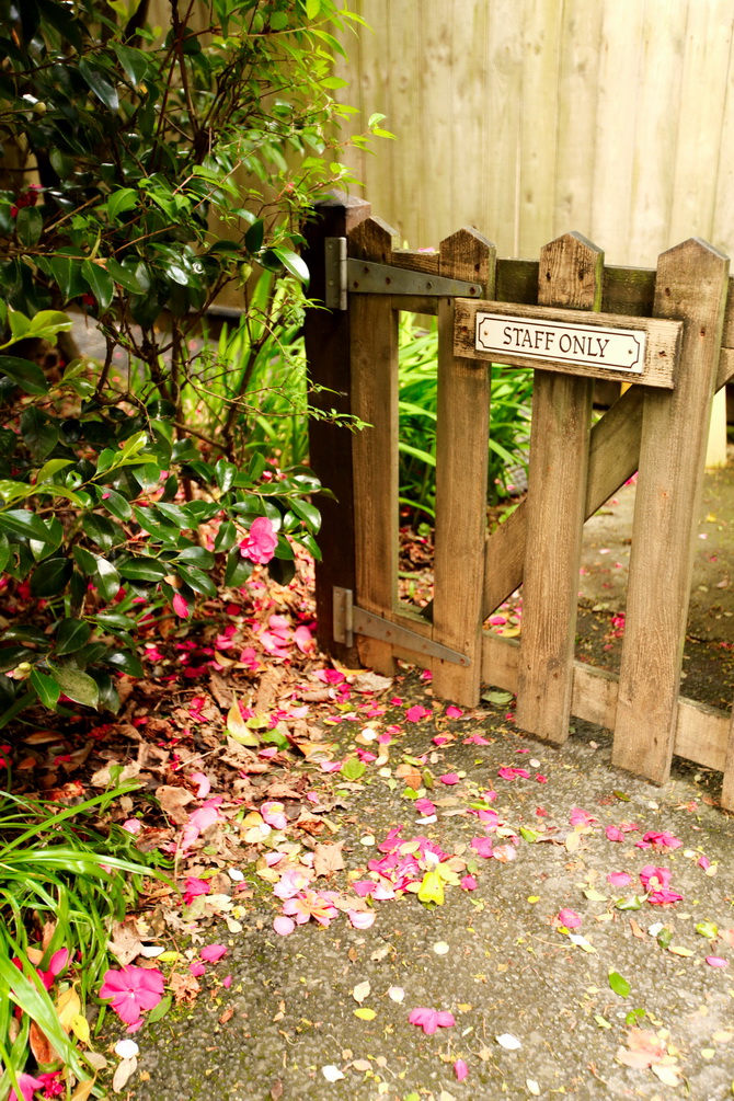 The Cherry Blossom Girl - The Lost Gardens of Heligan 22