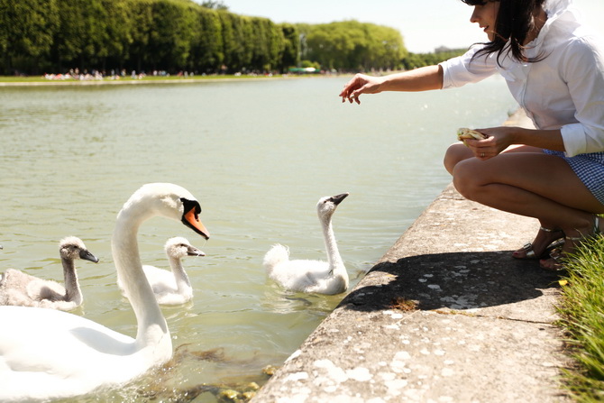 The Cherry Blossom Girl - Summer in Versailles 04