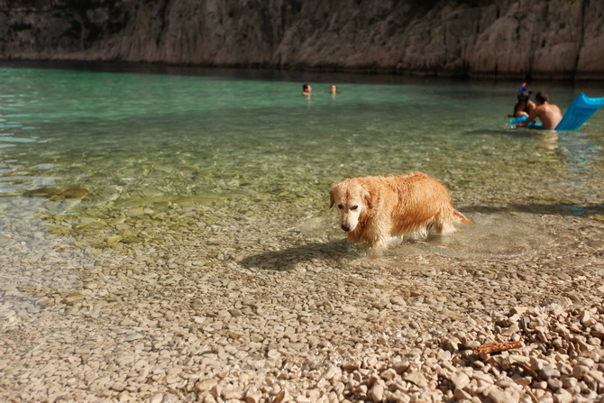 The Cherry Blossom Girl - Calanques 07