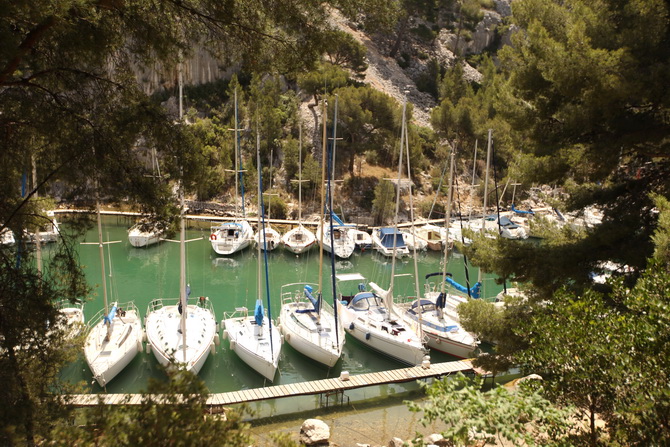 The Cherry Blossom Girl - Calanques 08