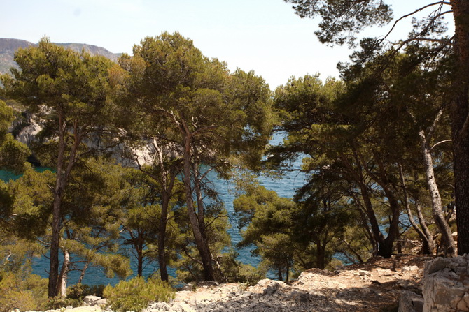 The Cherry Blossom Girl - Calanques0 9