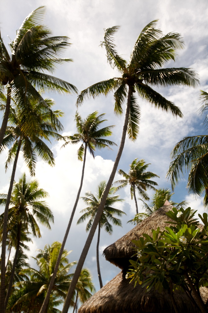 The Cherry Blossom Girl - Somewhere over the rainbow Tahiti 32