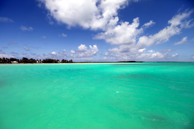 The Cherry Blossom Girl - Bora Bora 25