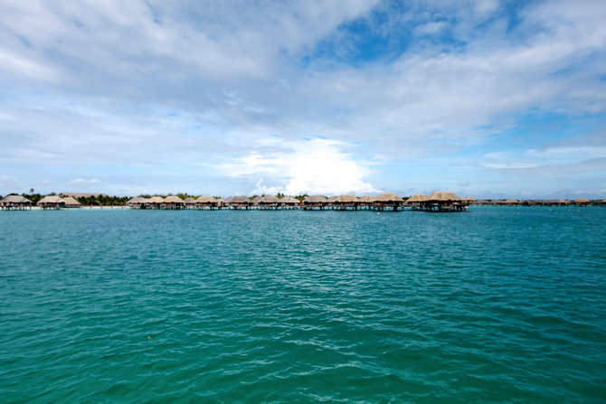 The Cherry Blossom Girl - Bora Bora 33