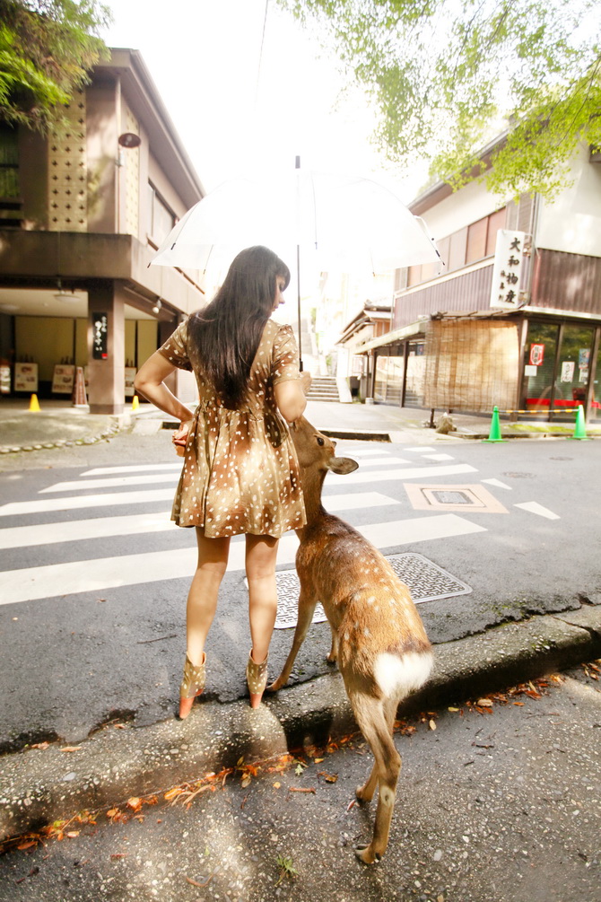 The Cherry Blossom Girl - Japan 2014 08