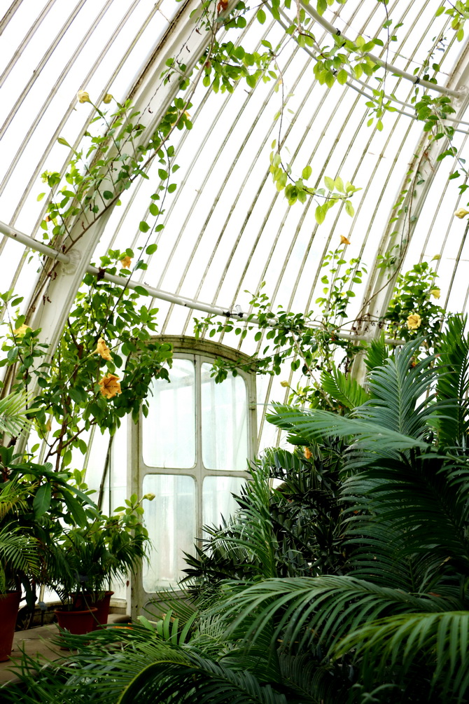 The Cherry Blossom Girl - Kew Gardens 05