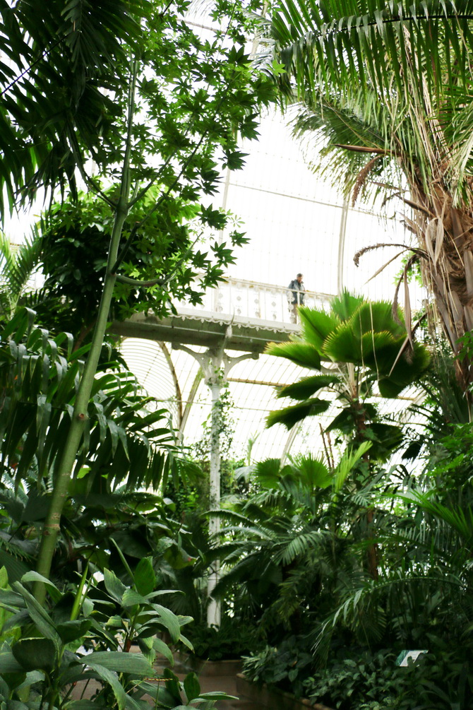 The Cherry Blossom Girl - Kew Gardens 08