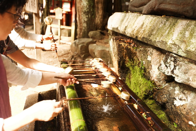 The Cherry Blossom Girl - Nara 14