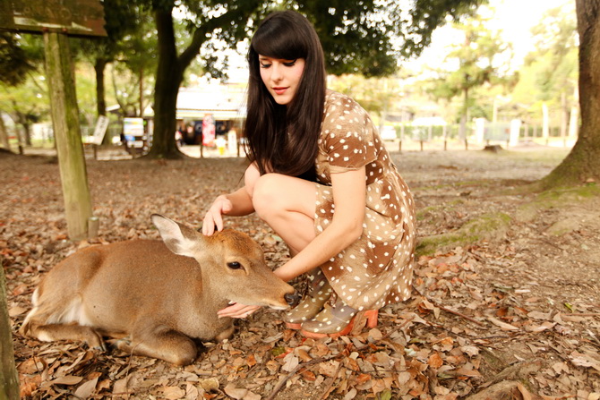 The Cherry Blossom Girl - Nara 25