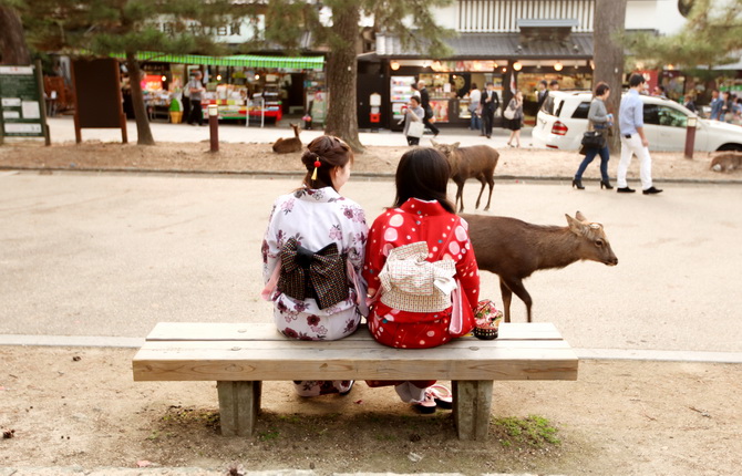 The Cherry Blossom Girl - Nara 29