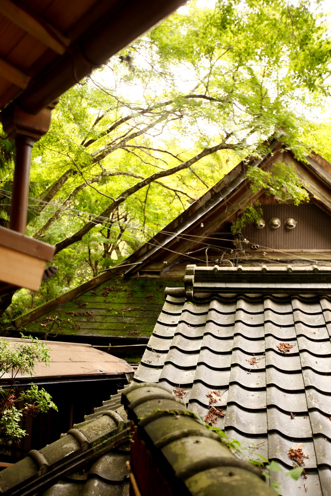 The Cherry Blossom Girl - Ryokan Tsukihitei Nara 24