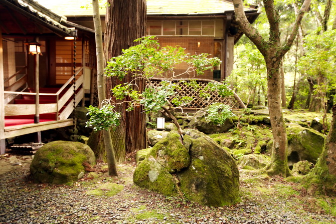 The Cherry Blossom Girl - Ryokan Tsukihitei Nara 27