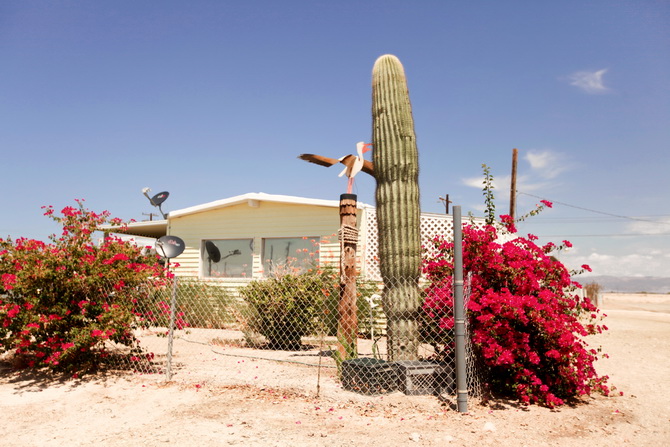 The Cherry Blossom Girl - California Bombay Beach 05