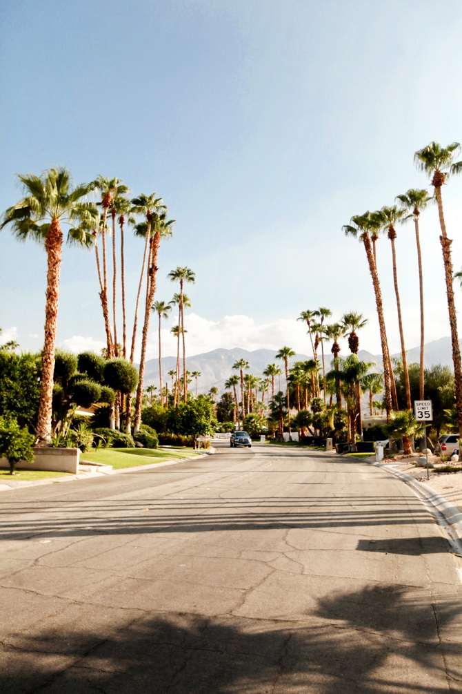 The Cherry Blossom Girl - Checking in Palm Springs 02