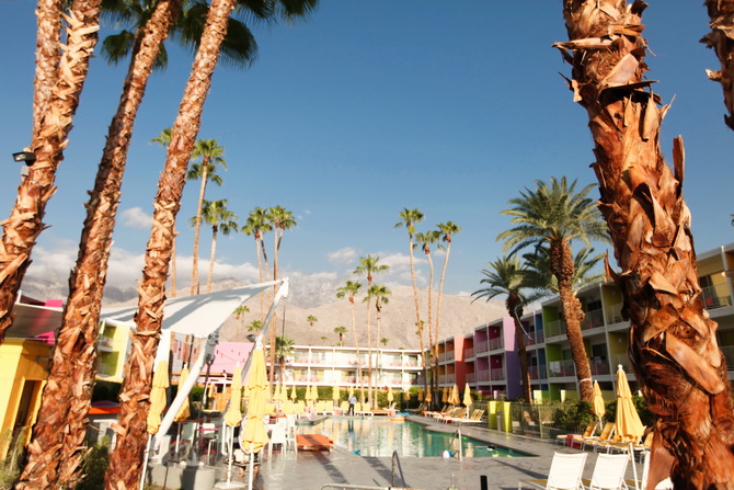 The Cherry Blossom Girl - Palm Springs Saguaro Hotel 12