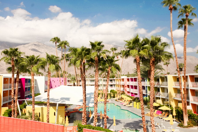 The Cherry Blossom Girl - Palm Springs Saguaro Hotel 33