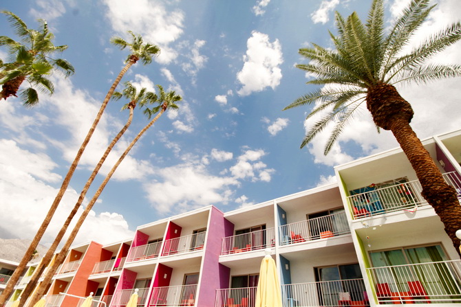 The Cherry Blossom Girl - Palm Springs Saguaro Hotel 34