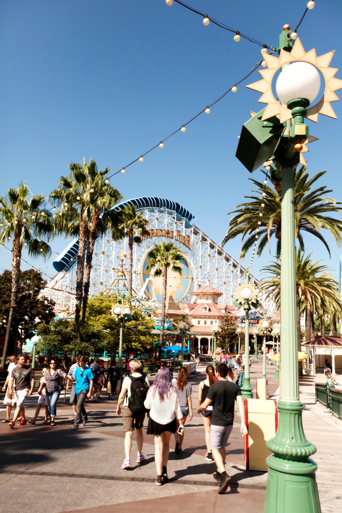 The Cherry Blossom Girl - California Adventure 03