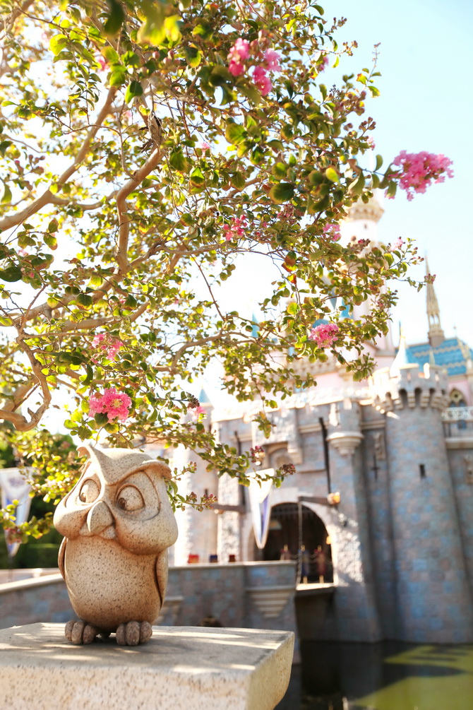 The Cherry Blossom Girl - Disneyland Anaheim 20