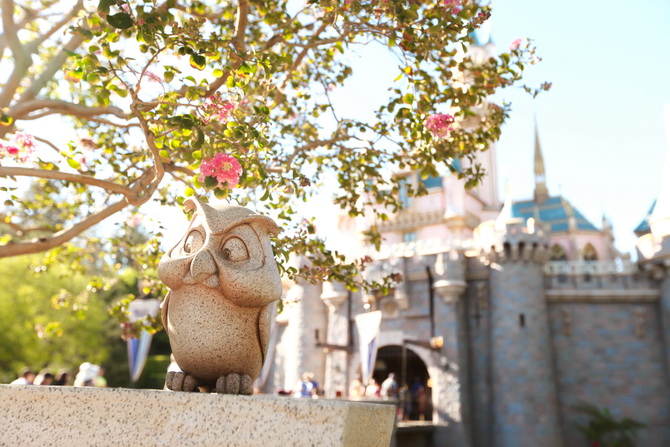 The Cherry Blossom Girl - Disneyland Anaheim 21