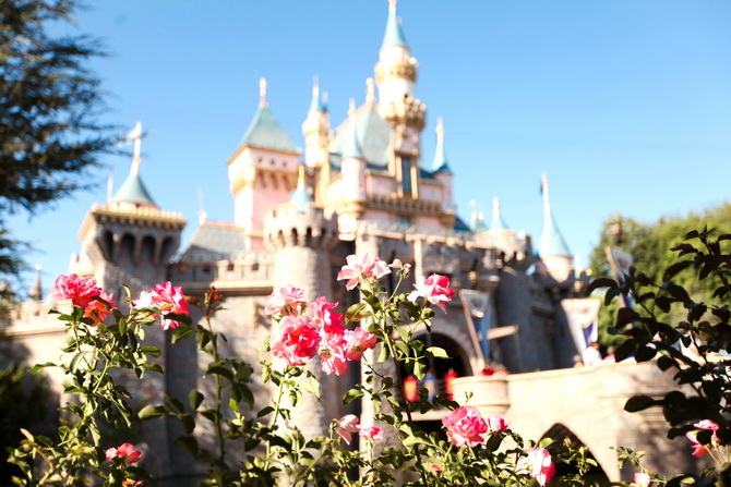 The Cherry Blossom Girl - Disneyland Anaheim 22