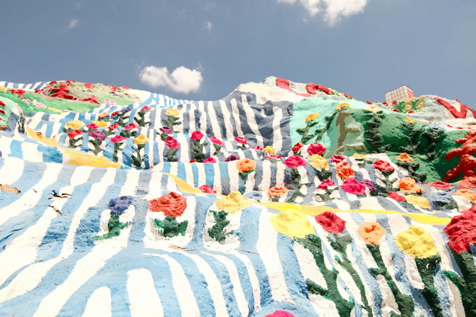 The Cherry Blossom Girl - Salvation Mountain 13