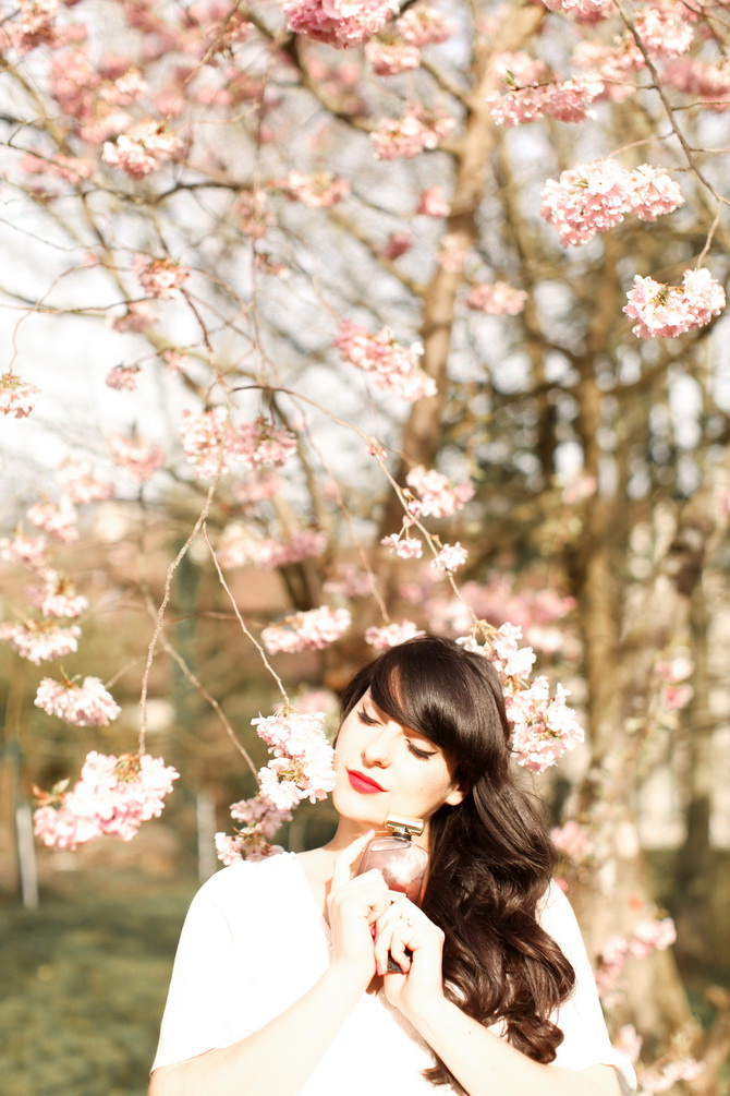 The Cherry Blossom Girl - Nina l'Extase 02