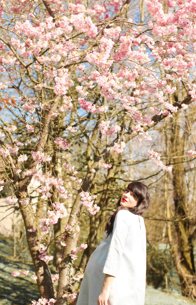 The Cherry Blossom Girl - Bump 01